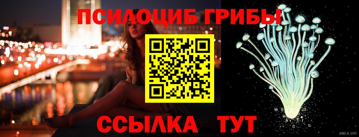 Псилоцибиновые грибы GOLDEN TEACHER  как найти   Вход с VPN  Качканар  Галлюциногенные грибы ЛСД 