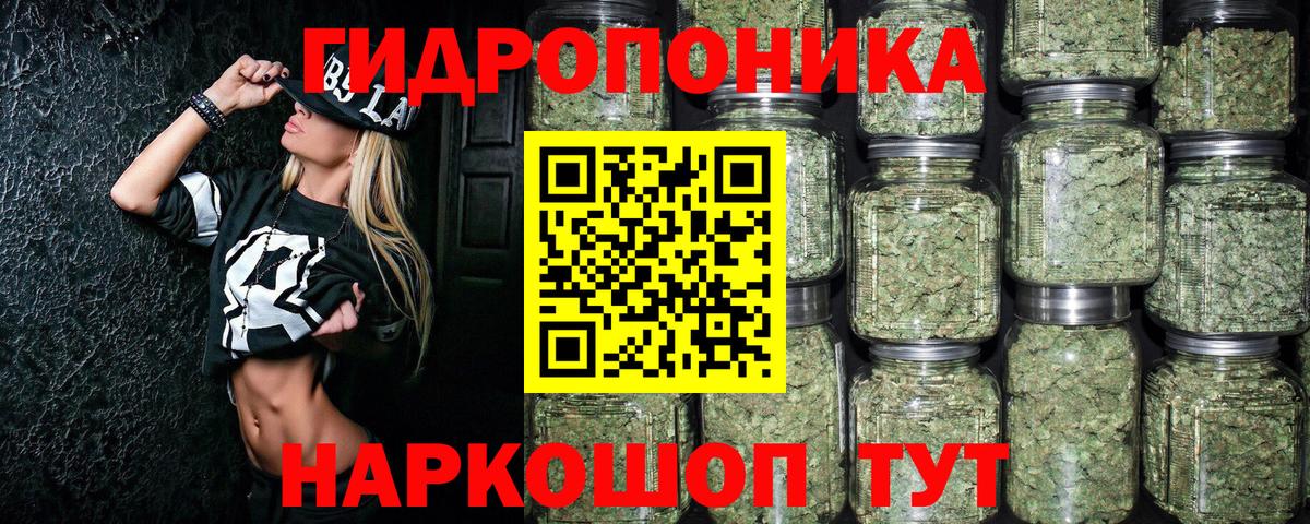 Бошки марихуана Amnesia Качканар